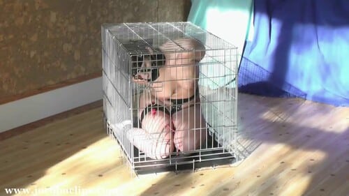 Caged Blowjob Slave Girl Xxl 2