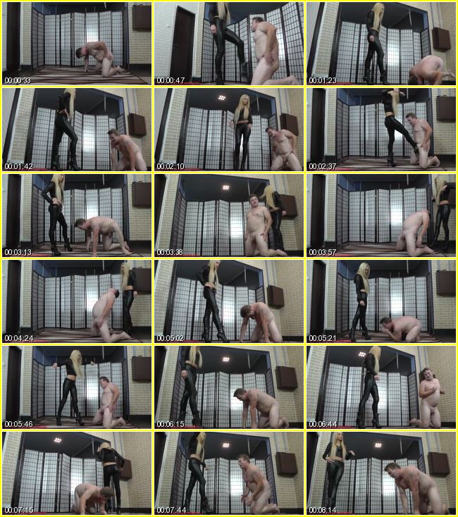 Ballbustingfemdomballbusting Fetish - 1578 4