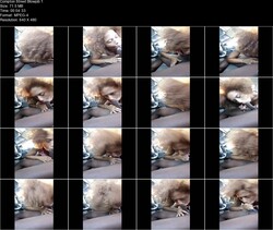 Compton Street Blowjob 1 2