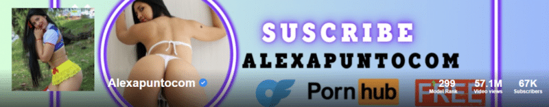 Alexapuntocom leaked Pornhub Siterip K2S [88 VIDEO / 28.03 GB] 1