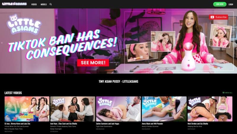 LittleAsians.com Siterip K2S [78 Videos / 110 GB] 2