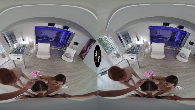 Virtualtaboo - Please Treat My Friends Gently - Aliska Dark, Bella Grey, Eva Barbie (2048p X265 Hi10p) 1