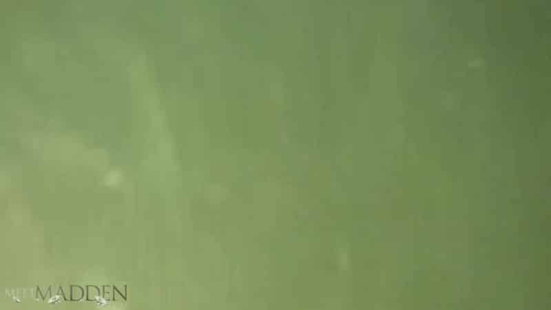 MeetMadden 20 02 05 Water Park FullHD 2