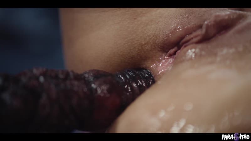 Parasited 25 01 10 Layla Scarlett And Penny Park Through Our Veins 4k 5