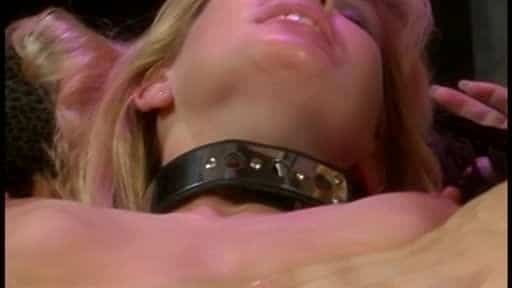 [Girlfriends Films] - Tara Wild And Her Girlfriends - 2004 - Dvdrip - 384p 4