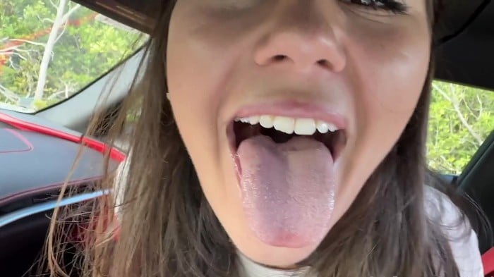 Bangbros January-December 2024 1080p H265 3