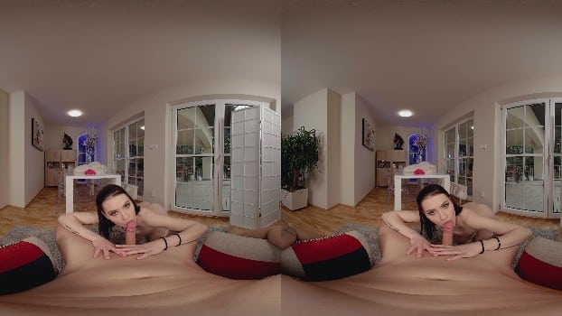 Sinsvr - Matty - Brunette Anal Tryout - 4096p 17