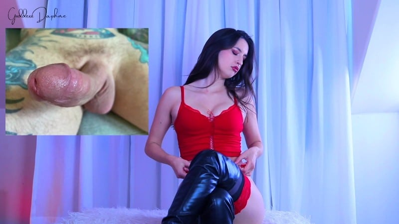 Goddexx Daphne - DICKcember Week 2 Humiliating 2