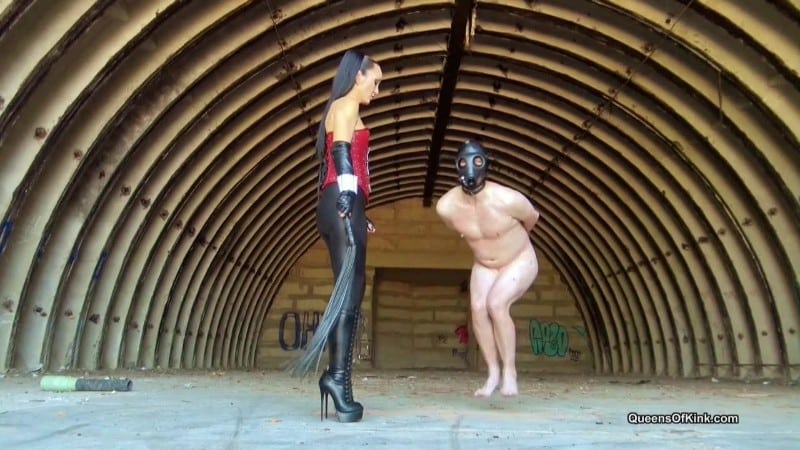QueensOfKink - Fetish Liza - Sadistic Ballbusting Punishment 5