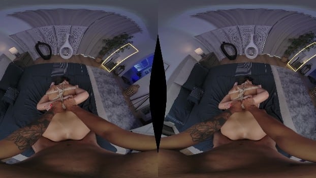Povroriginals - Tangled Up In Ivy - Ivy Ireland (2025.07.23) (gearvr) 2