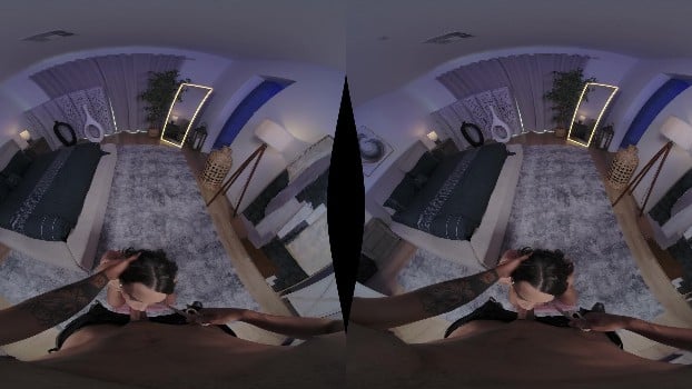 Povroriginals - Tangled Up In Ivy - Ivy Ireland (2025.07.23) (gearvr) 4
