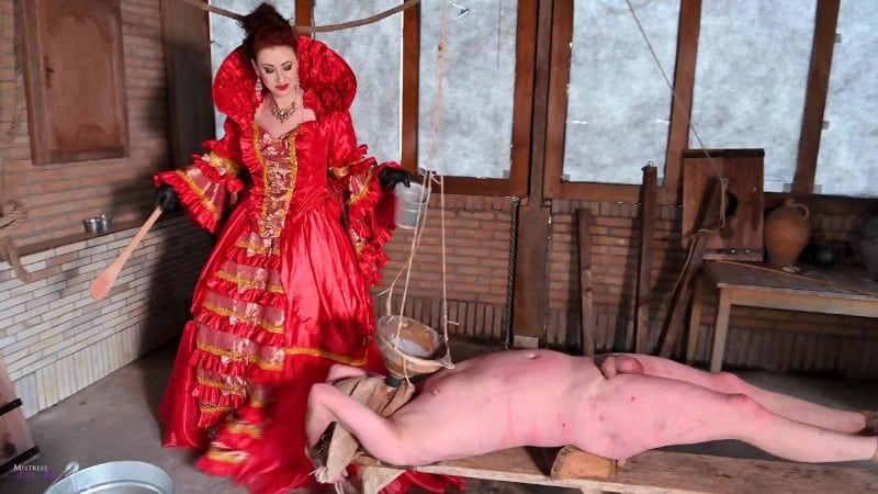 Ballbusting Mistress Lady Renee - The Swedish drink 5