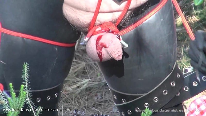 Bdsmlaboratory - Mistress Miranda - Bondage Jam 5