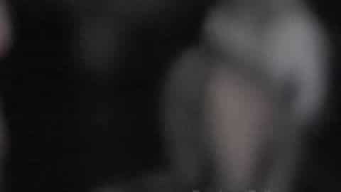 Dominant Dolls - Evil Male Exile 3