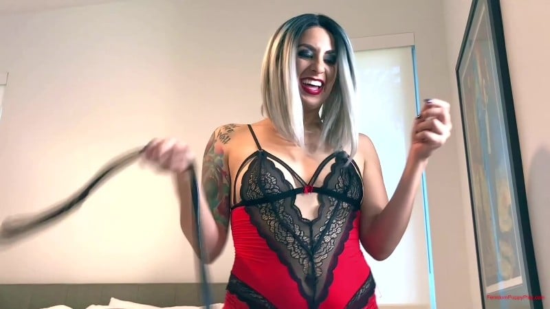 Femdom Puppy Play - Miss Rogue Cuckolds Her Hubby on Valentines Day Date 5