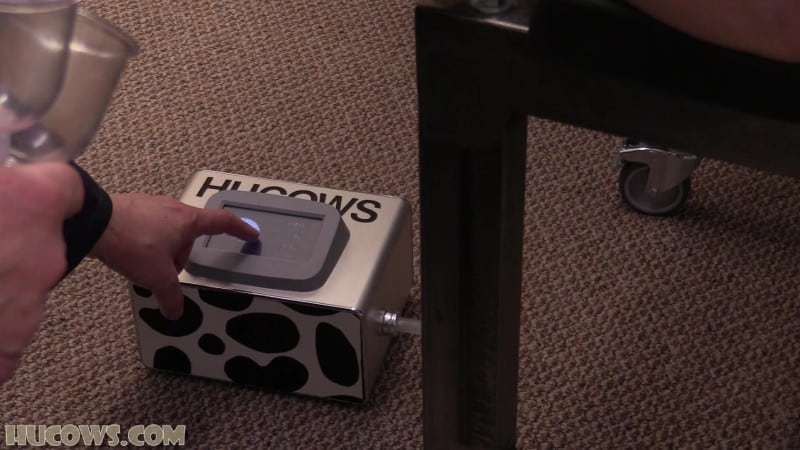 HuCows 25 08 02 Breeding Samantha Kiss FullHD 2