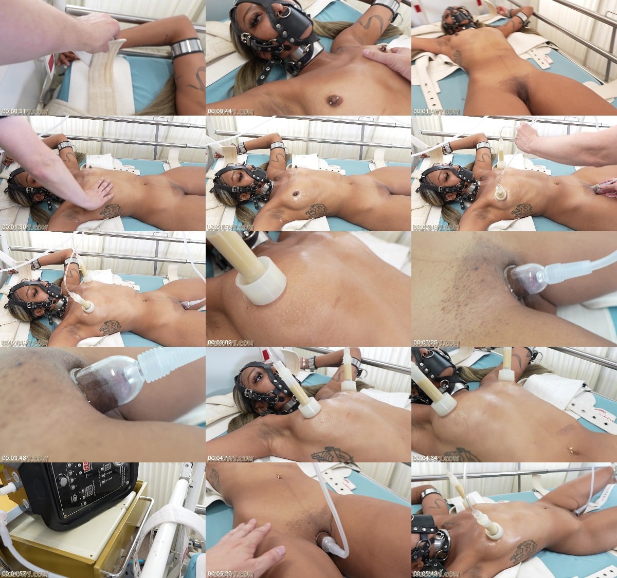 HuCows 25 08 16 Thiccy Niccy Triple Pumped FullHD 6