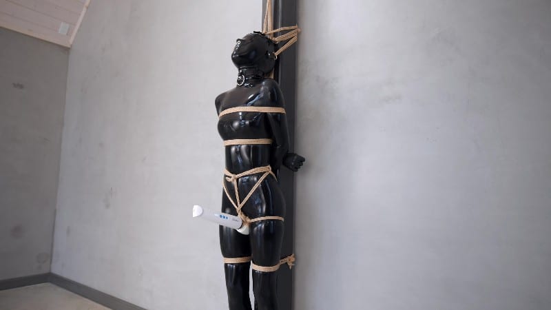 Latex Chuck - Hitachi Torment 9