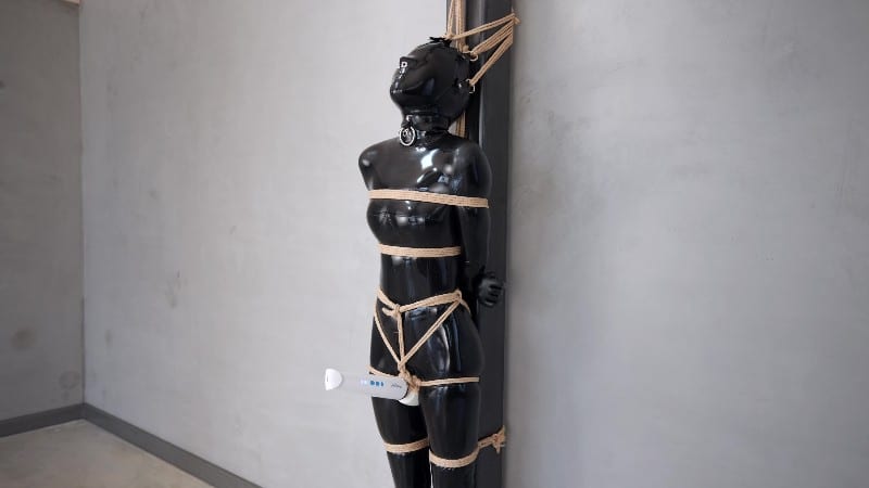 Latex Chuck - Hitachi Torment 10