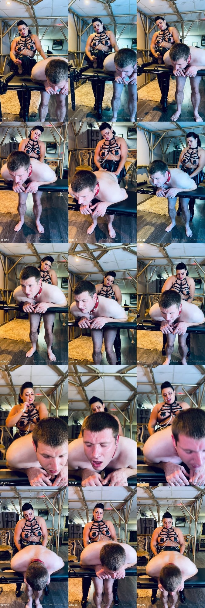 Mistress Eclipse - Would You Grunt If I Pegged You Like This 6