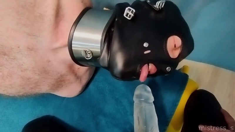 Mistress s - Hogtied Slave Really Likes To Suck Strapon! Real Amateur Pov 2