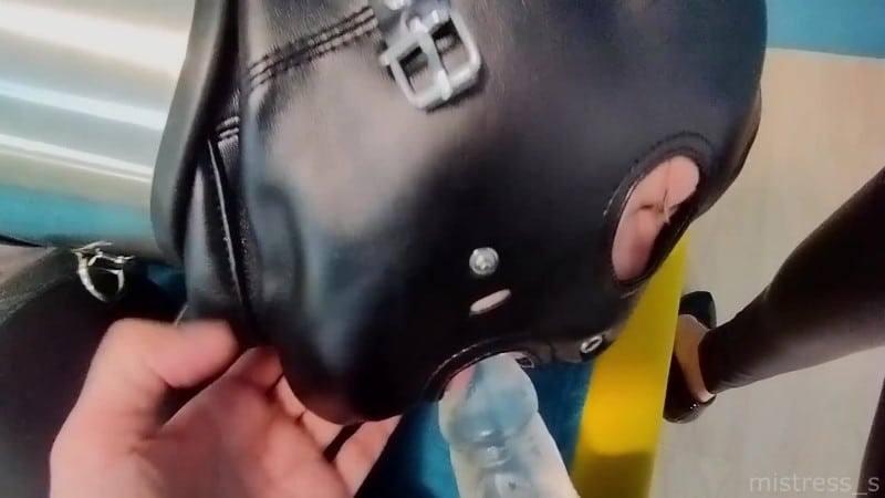 Mistress s - Hogtied Slave Really Likes To Suck Strapon! Real Amateur Pov 3