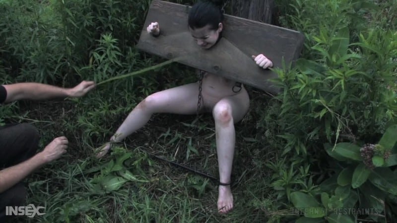 Sybil Hawthorne - Stocked Slut Ii 4