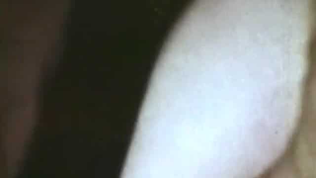 Big Tit Anal Ultra Vixens In The 1970 2