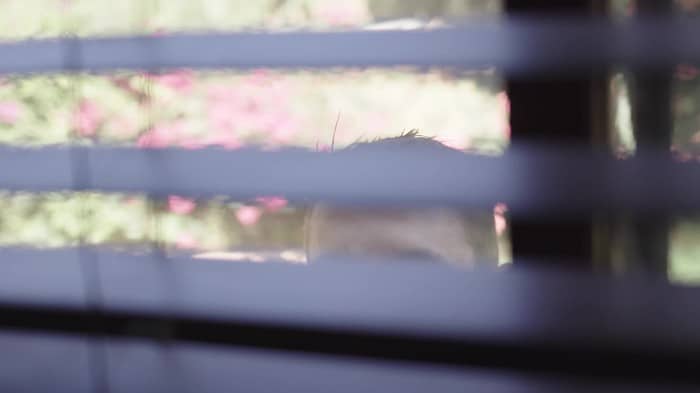 [TransSensual] Kenzie Taylor, Daisy Taylor - Locked Out (november 6, 2020) (2160p) 4