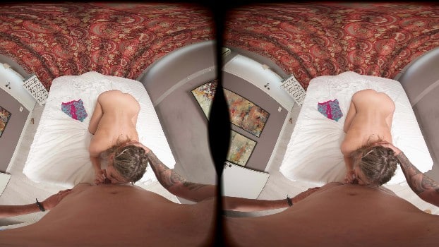Slr Steel Vr I'm Talking On The Phone With My Boyfriend And Having Sex With Someone Else Nina Sins Original 64051 Lr 180 4
