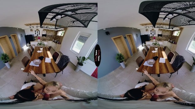 Virtualtaboo - Not In My House - Virgin Butterfly, Sara Bork (gearvr) 1