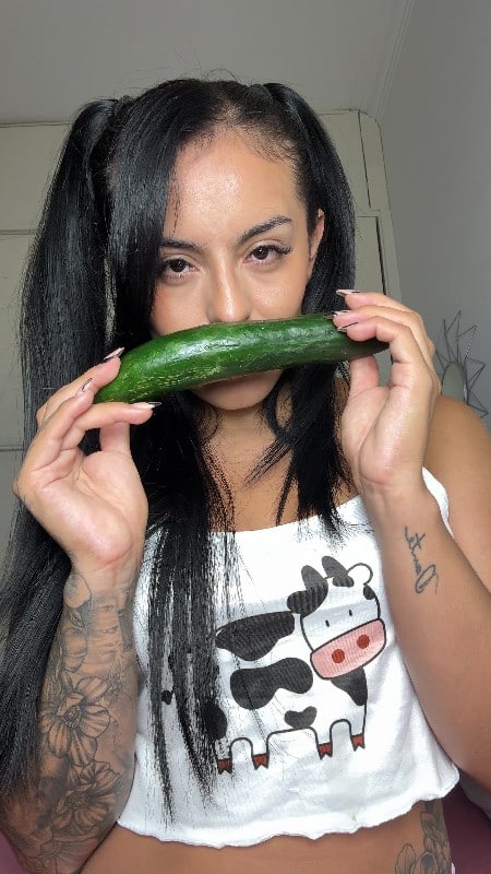 DellaSmith The cucumber and my imagination 5