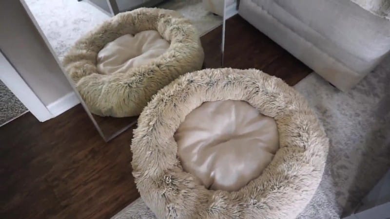 Emma Lux - Training My Puppy 3