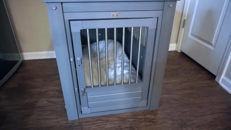 Emma Lux - Training My Puppy 4