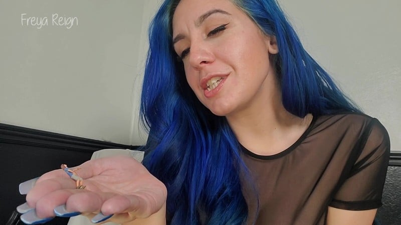 Freya Reign - Fallow Along Or Be Eaten Giantess JOI 4