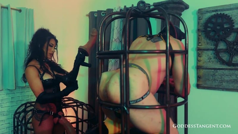 Goddess Tangent World Of Femdom - Fucking The 3