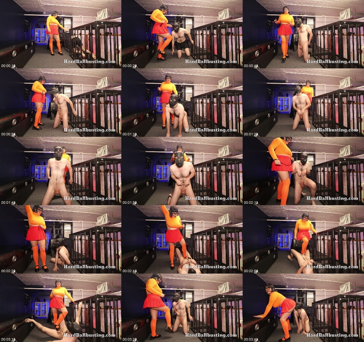 HardBallbusting - Mistress Veronica Vixen - Puppy Play - Whose A Good Boy 6