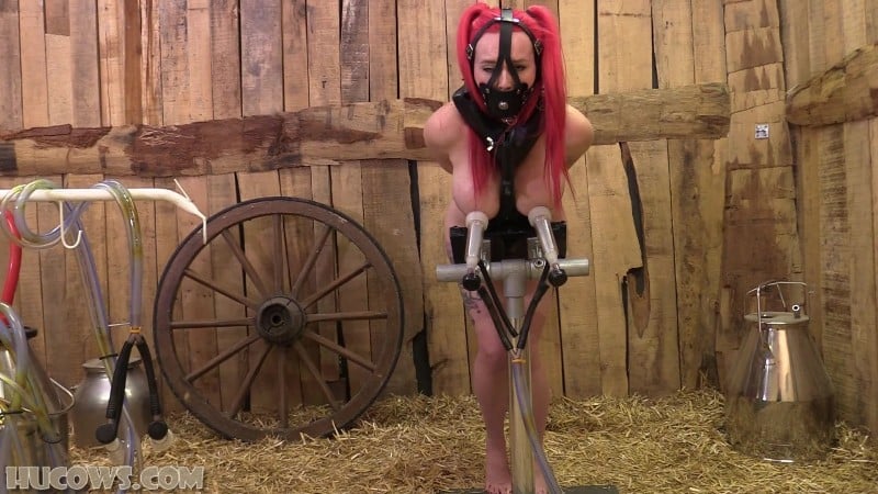 HuCows 25/09/27 Jasmine James Goat Milker FullHD 4