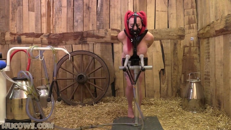 HuCows 25/09/27 Jasmine James Goat Milker FullHD 5