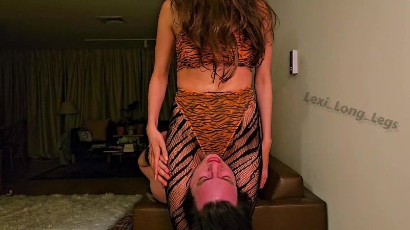 Lexi Long Legs - Pulsing My Prey To In The Tigers Den X2 5
