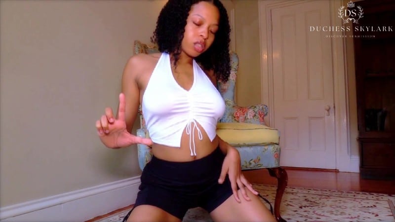 Master Skylark - Edge Loser 2