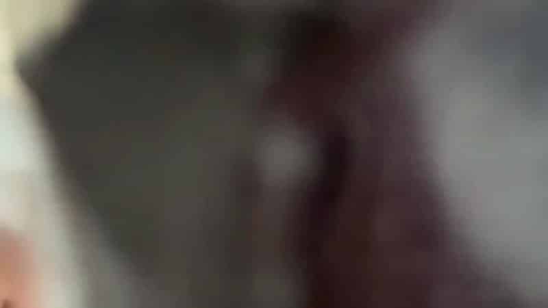 Mesmerized Damsel - Whispers Behind the Tape 5