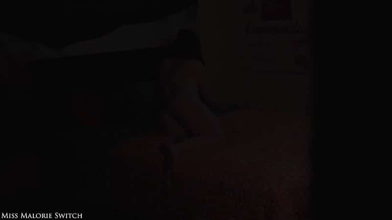 Miss Malorie Switch - Visiting Your Aunt 1