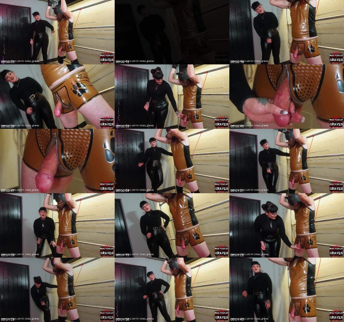 Miss Scarlet Graves - Go Faster Stripes 6