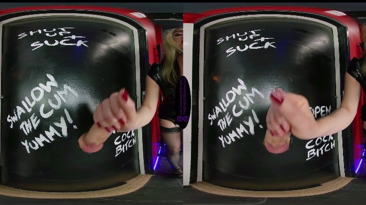 The English Mansion - Mistress Sidonia - Gloryhole Cocksucker - VR 5