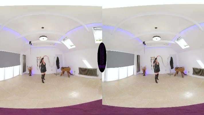 The English Mansion - Mistress Sidonia - My Cruel Single-Tail Whip 4