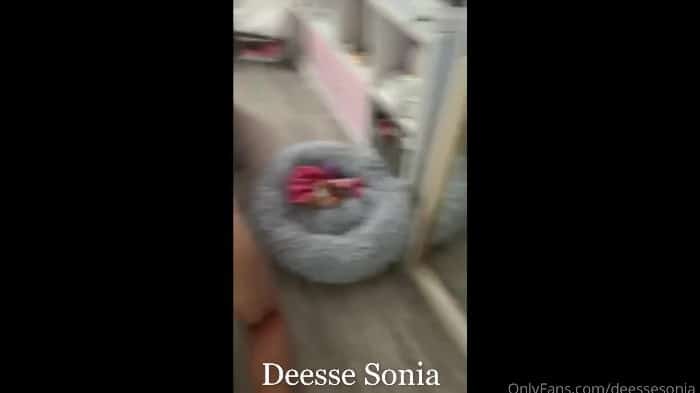 Deesse Sonia Aka Moneymistress2s Some Of Clips 3