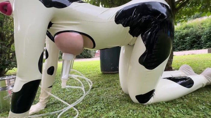 [Hucows] Anc1lla & Miss Fetilicious - Latex Cows Outdoor [1080p|MP4] *2025-09-06* 3
