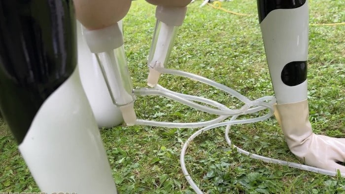 [Hucows] Anc1lla & Miss Fetilicious - Latex Cows Outdoor [1080p|MP4] *2025-09-06* 5