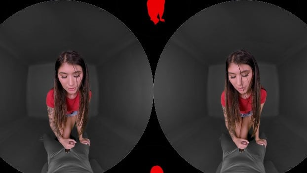 Passthroughvr - Swole Patrol - Charlotte Mae (2025.09.05) (gearvr) 1